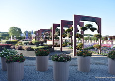 Buiten bij Florensis, veel soorten te zien.